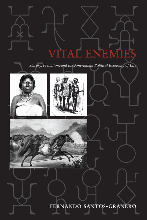 Cover image for book Vital Enemies