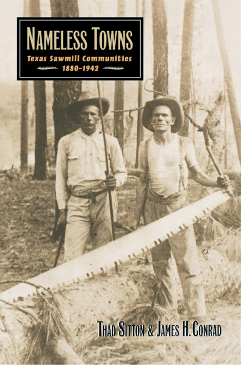 Cover image for book Nameless Towns