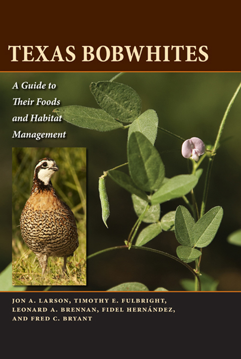Cover image for book Texas Bobwhites
