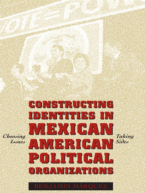 Cover image for book Constructing Identities in Mexican-American Political Organizations