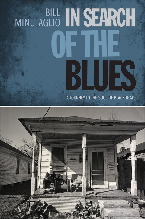 Cover image for book In Search of the Blues