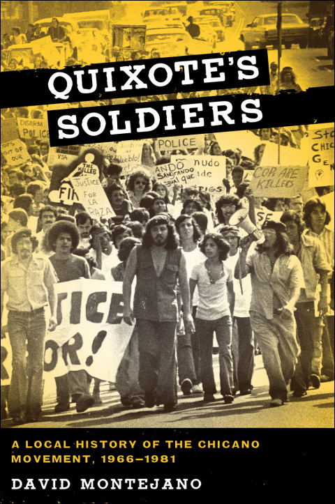 Cover image for book Quixote's Soldiers