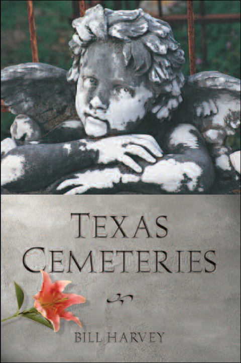 Cover image for book Texas Cemeteries