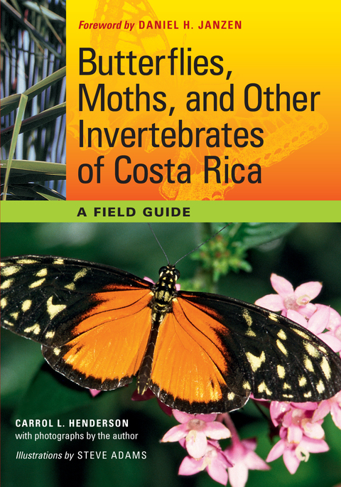 Cover image for book Butterflies, Moths, and Other Invertebrates of Costa Rica
