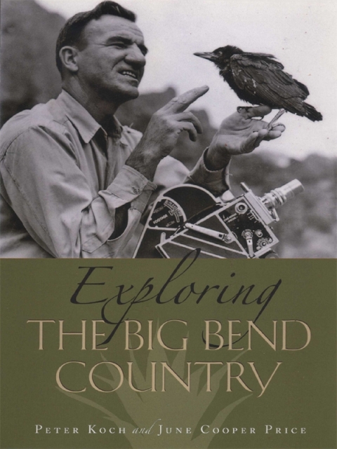 Cover image for book Exploring the Big Bend Country