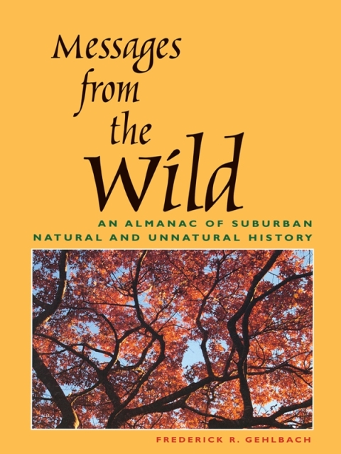 Cover image for book Messages from the Wild