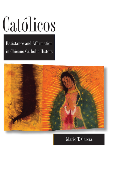 Cover image for book Católicos