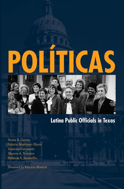 Cover image for book Políticas