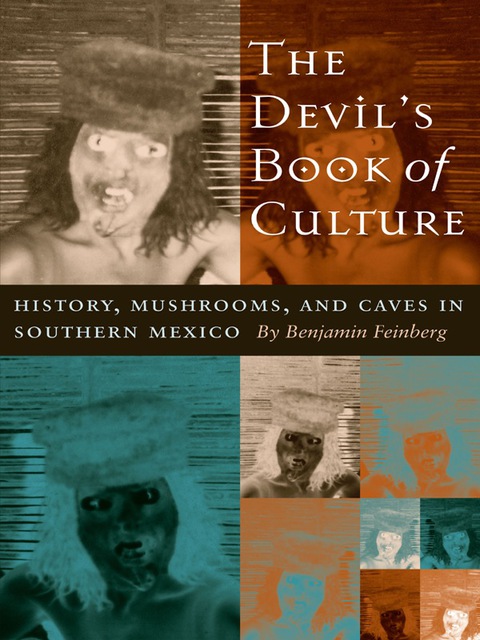 Cover image for book The Devil's Book of Culture