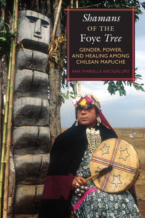 Cover image for book Shamans of the Foye Tree