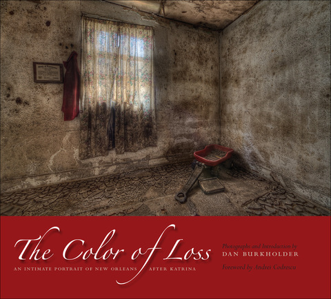 Cover image for book The Color of Loss