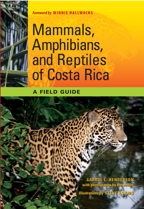 Cover image for book Mammals, Amphibians, and Reptiles of Costa Rica
