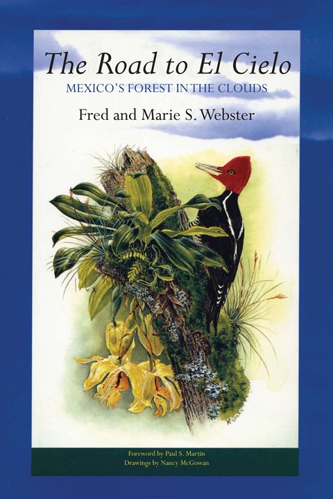 Cover image for book The Road to El Cielo