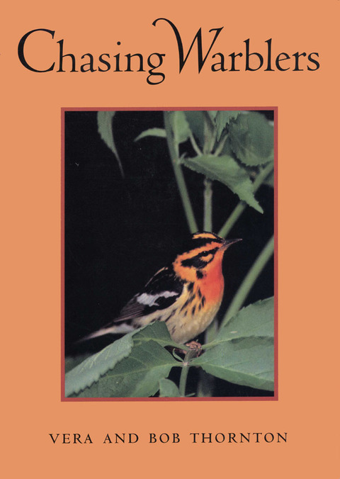 Cover image for book Chasing Warblers