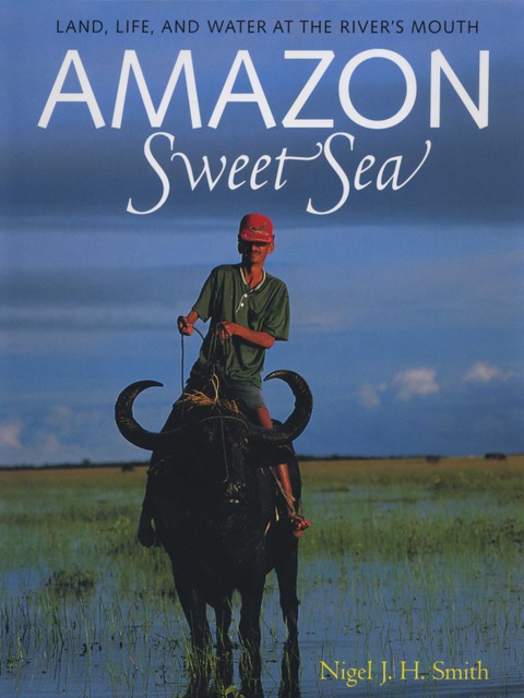 Cover image for book Amazon Sweet Sea