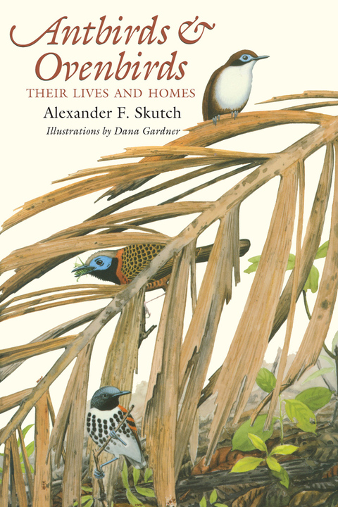 Cover image for book Antbirds and Ovenbirds