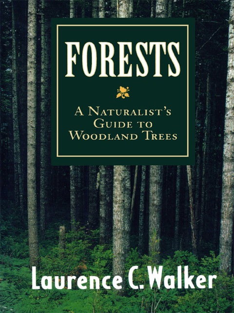 Cover image for book Forests
