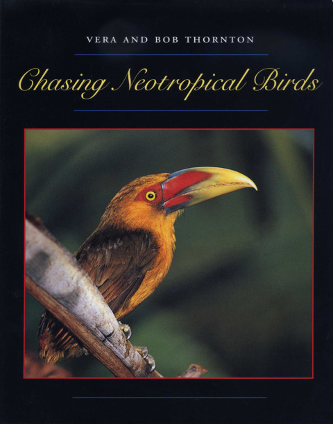 Cover image for book Chasing Neotropical Birds