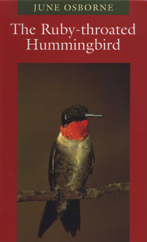 Cover image for book The Ruby-throated Hummingbird