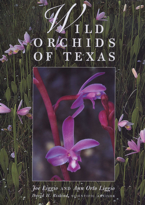 Cover image for book Wild Orchids of Texas