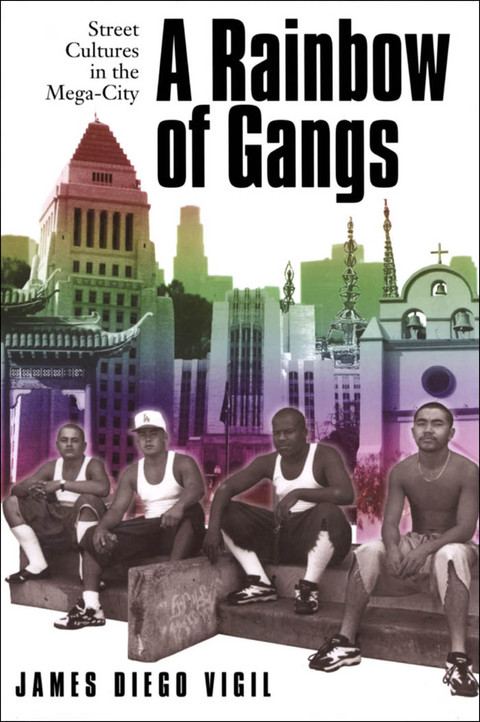 Cover image for book A Rainbow of Gangs