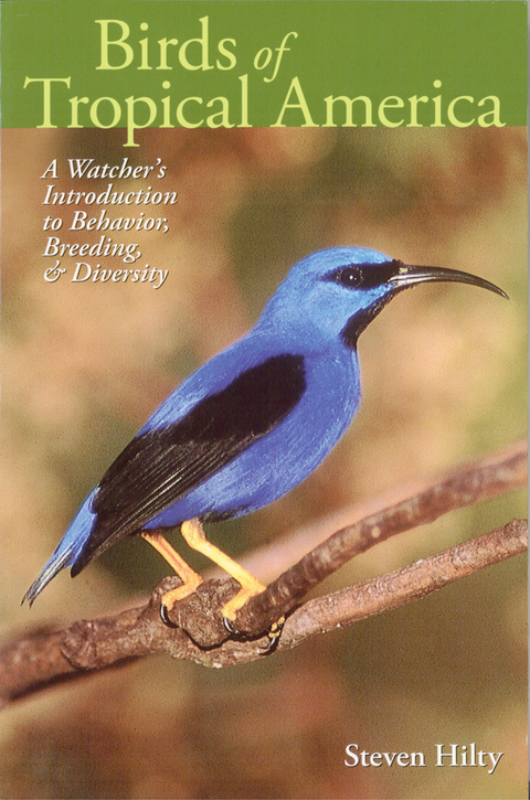 Cover image for book Birds of Tropical America