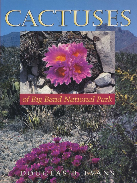 Cover image for book Cactuses of Big Bend National Park