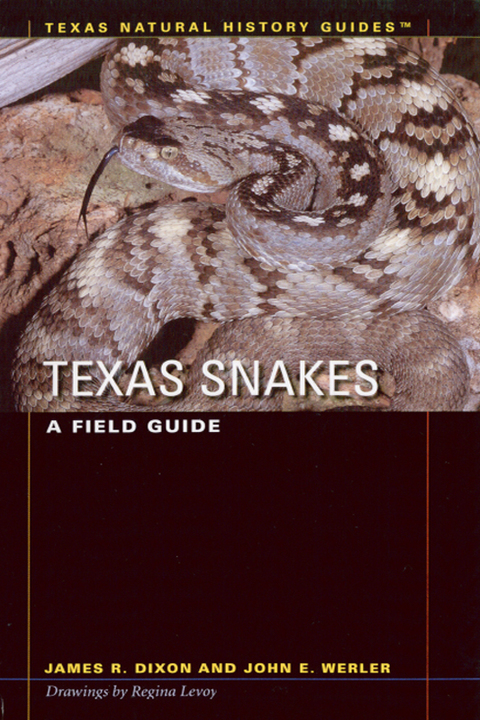 Cover image for book Texas Snakes