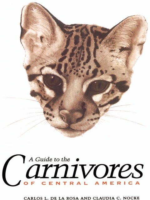 Cover image for book A Guide to the Carnivores of Central America