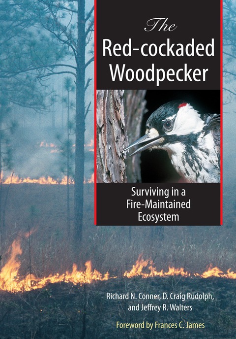 Cover image for book The Red-cockaded Woodpecker
