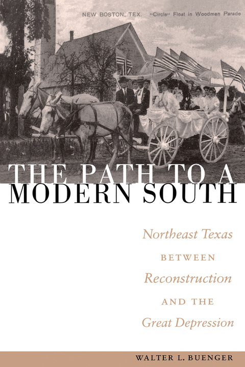 Cover image for book The Path to a Modern South