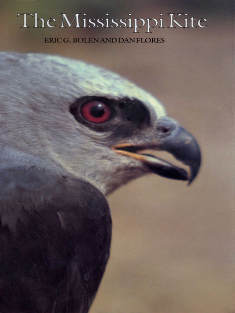 Cover image for book The Mississippi Kite