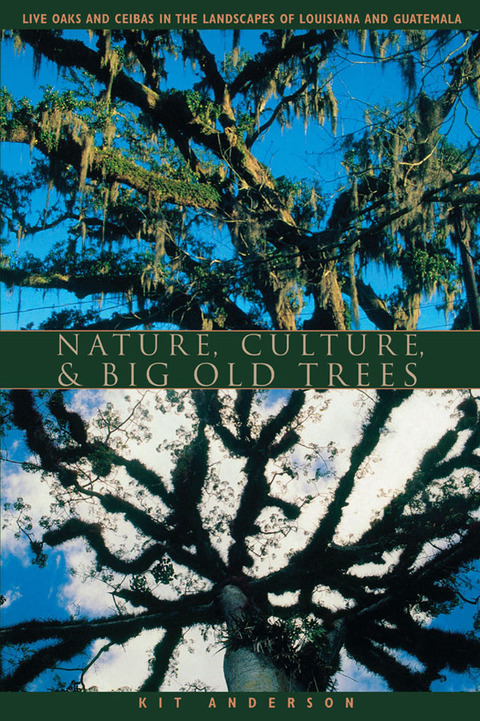 Cover image for book Nature, Culture, and Big Old Trees