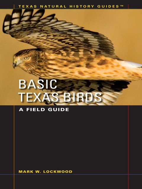 Cover image for book Basic Texas Birds