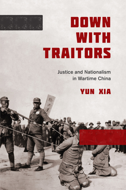 Cover image for book Down with Traitors