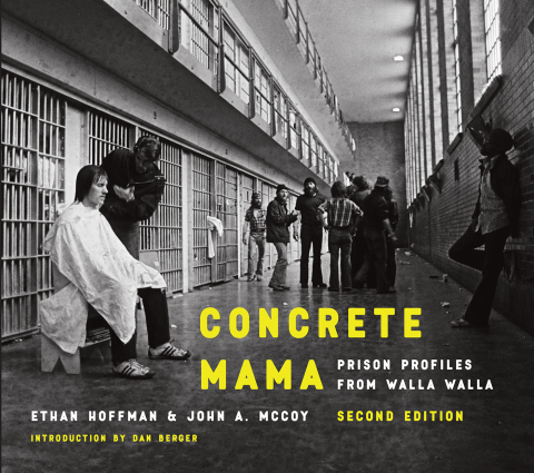Cover image for book Concrete Mama
