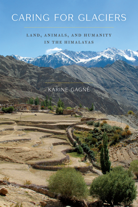 Cover image for book Caring for Glaciers