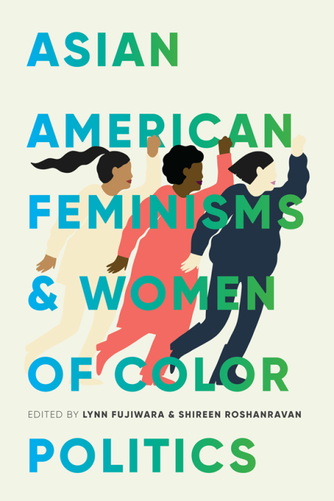 Cover image for book Asian American Feminisms and Women of Color Politics