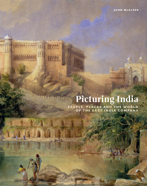 Cover image for book Picturing India