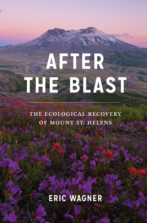 Cover image for book After the Blast