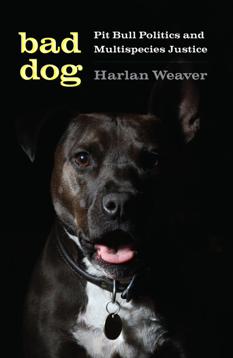 Cover image for book Bad Dog