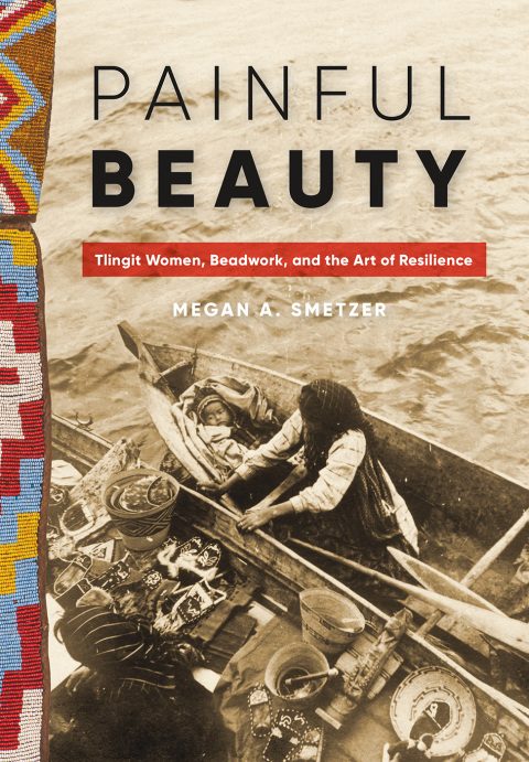 Cover image for book Painful Beauty