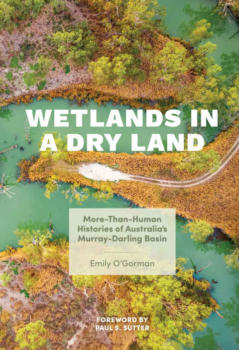 Cover image for book Wetlands in a Dry Land