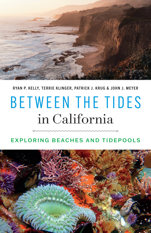 Cover image for book Between the Tides in California