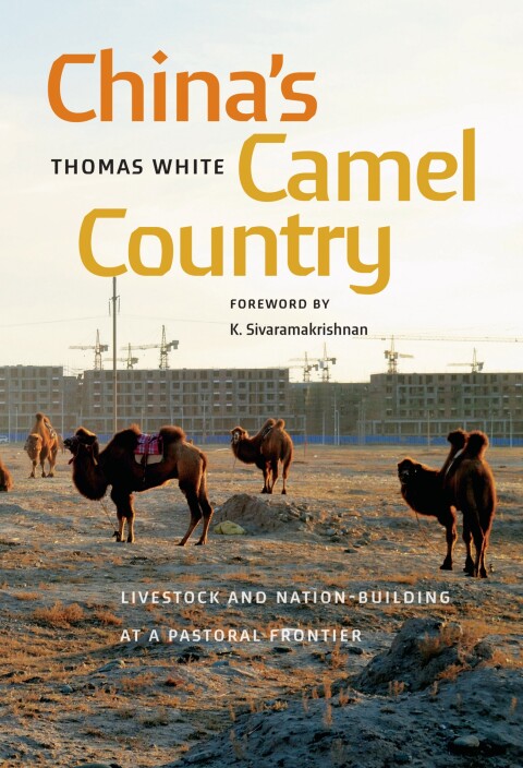 Cover image for book China's Camel Country