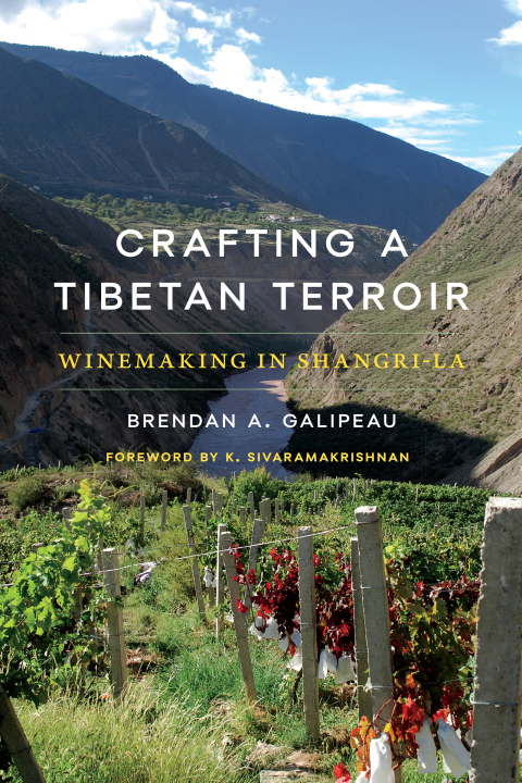 Cover image for book Crafting a Tibetan Terroir