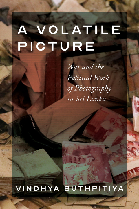 Cover image for book A Volatile Picture