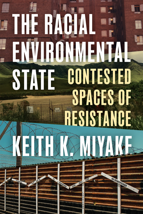 Cover image for book The Racial Environmental State