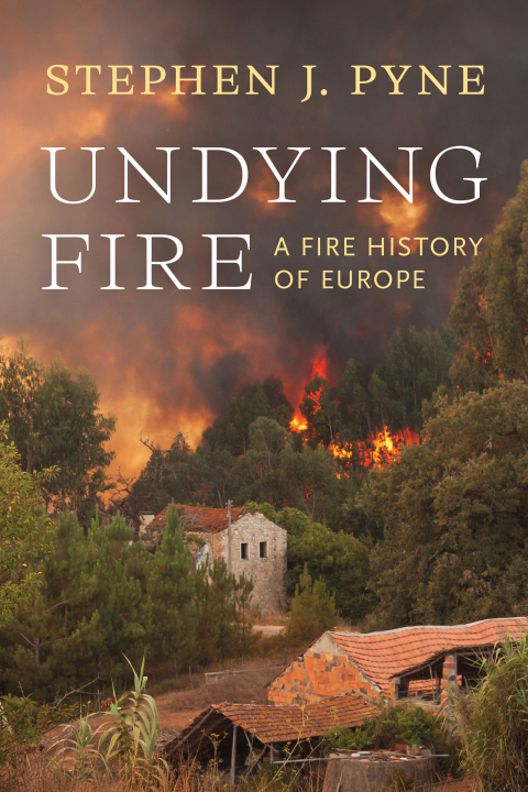 Cover image for book Undying Fire