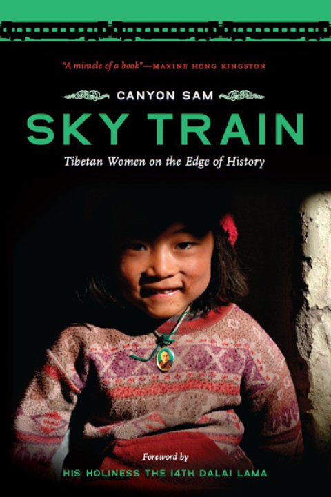 Cover image for book Sky Train